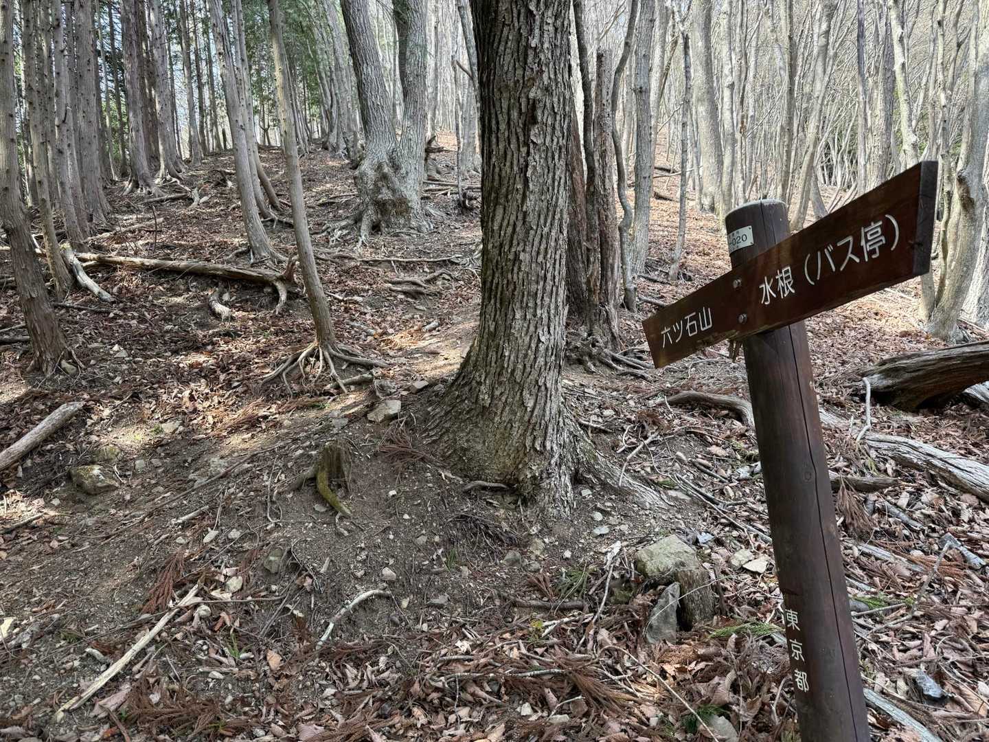 鷹ノ巣山-水根山-城山-六ツ石山-長尾ノ頭 周回コースの写真
