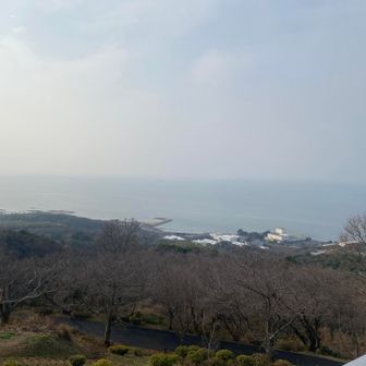 展望台にも登ってみます。