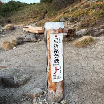 弓折岳の分岐まで登ってきました