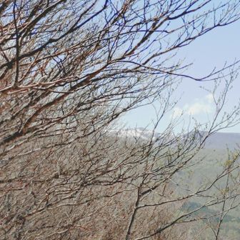 残雪あるのは船形山だそうです