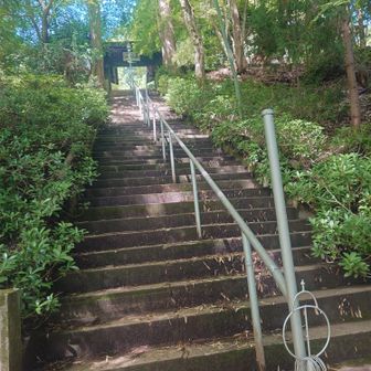 この上が高水山常福院、うちわでパタパタあおぎながら階段を登り
