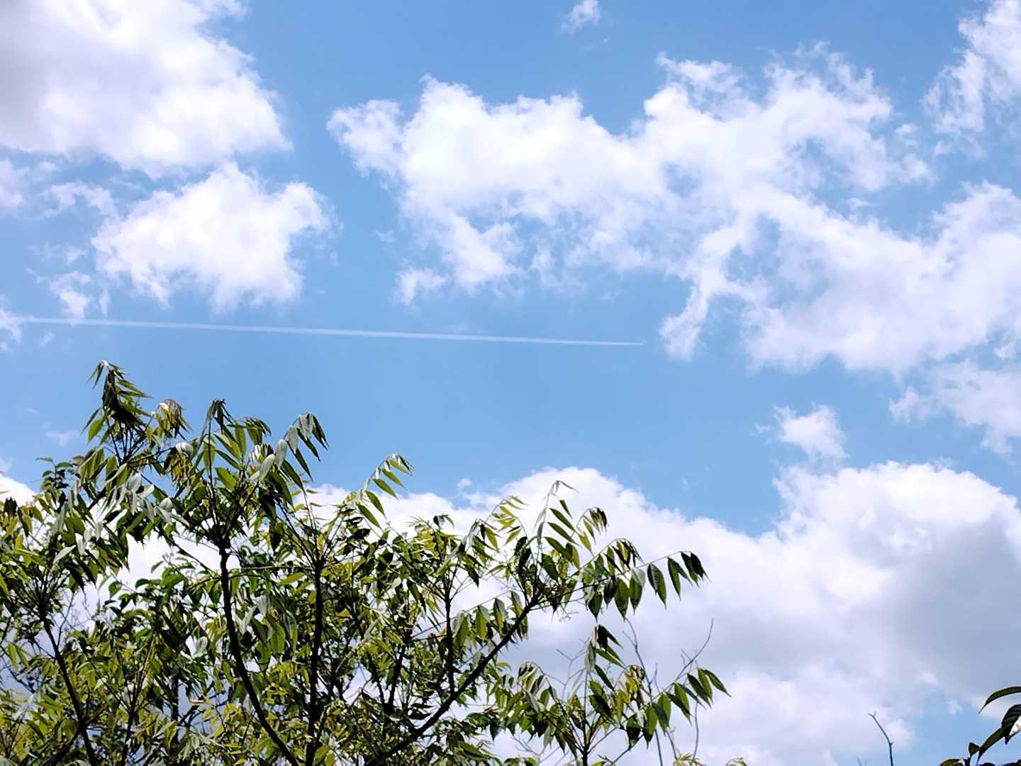 飛行機雲✈
