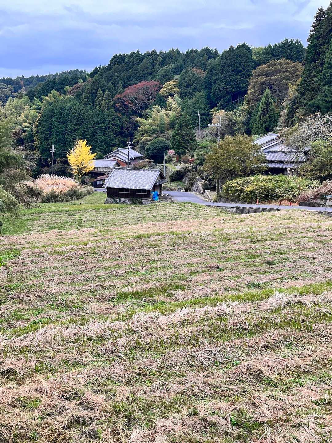 国見山-666m峰-塔の森-塔の森登山口 周回コースの写真