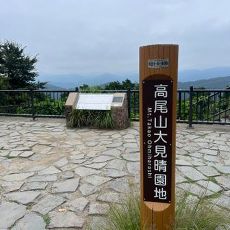 富士山は見えず🥺