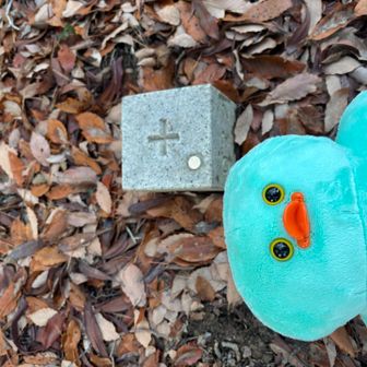 ピークの看板がない……..北山