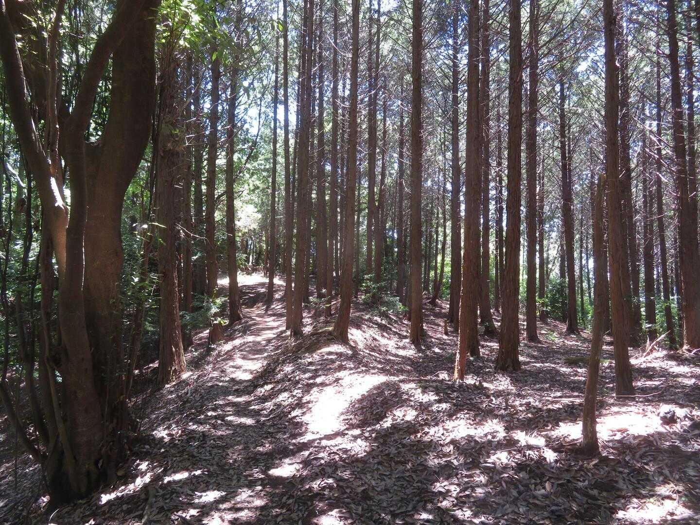 ええわ〜。写真では爽やかに思えるかもしれんですが、超暑いっす。風がない。。