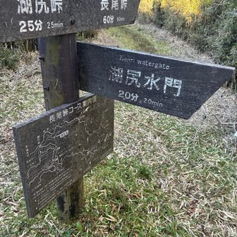 でもねー
ここからの道が、東に向かう道だから暗くてねー🙁
今回は晴天だから少しは明るいかと思いきや、やっぱり暗かったです
14時台なのに16時くらいの雰囲気でした