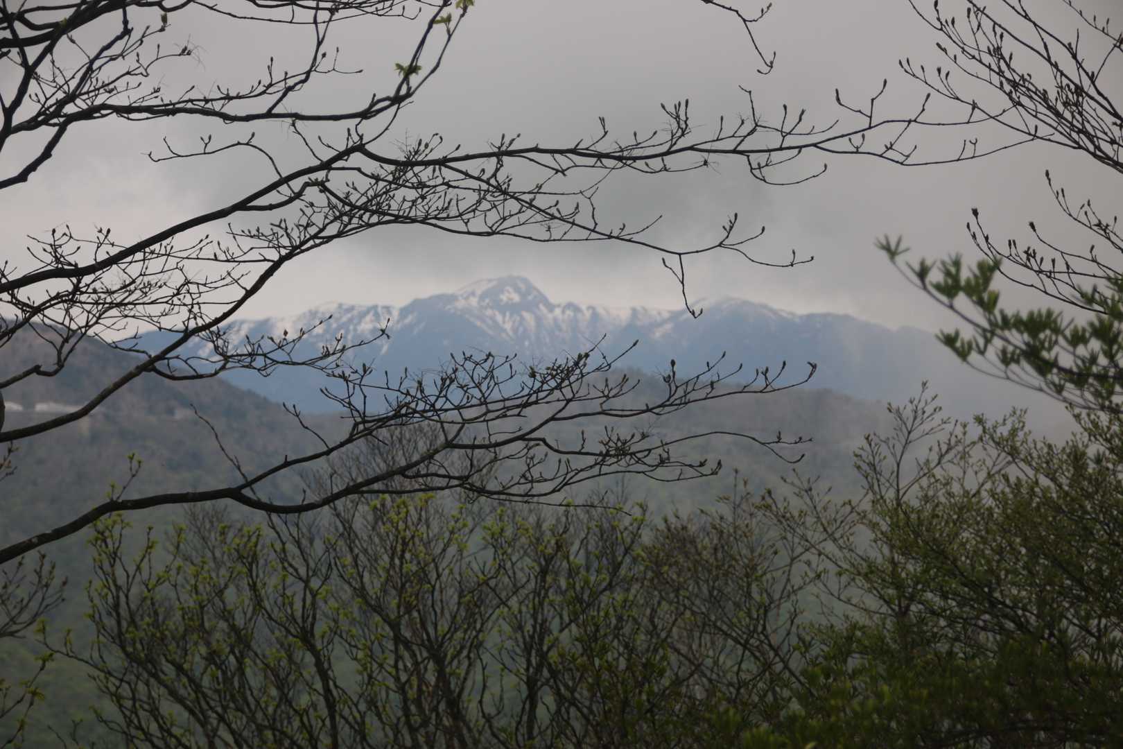 日光白根山が見えました