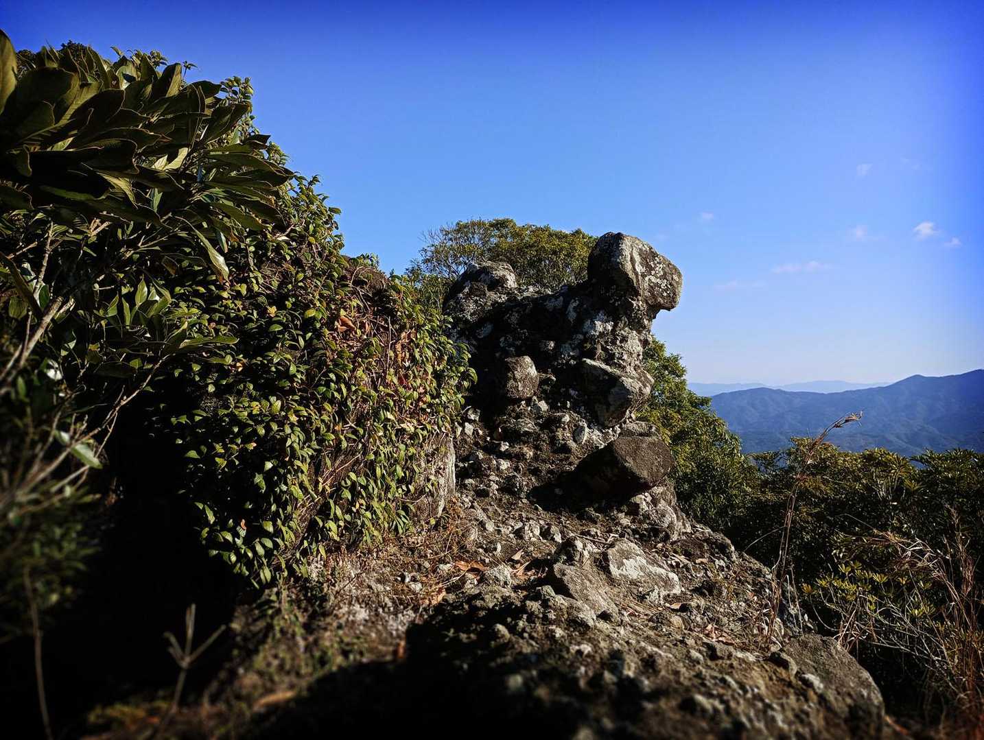 無名峰にしておくのは惜しいなと思う、絶景の岩崖であった。トラバースの踏路に戻ると、岩肌の裾を捲きながらのアップダウンが繰り返される。鞍部を通過して穏やかな尾根道になると、張り詰めていた神経が弛緩したような気分になり、気が付くと中嶽に登頂していた。

峻険な岩稜を経て登り詰めた三角点ピークは、灌木に囲まれて何も見えない。嘆息混じりに休憩していると、お前の含意で立っている山では無いと中嶽に云われているような気もする。

山頂を辞すると早速急勾配が現われて、ふたたび剥き出しの岩稜帯となった。北東に進路を変えた尾根の右手に眺望が利くようになり、風力タービンが並立する山なみの彼方に、開聞岳の三角形が見える。