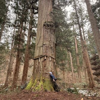御神木の音を聞いてる