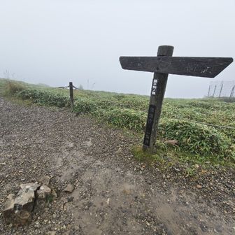親不知ノ頭も、雨で眺望はダメでした。