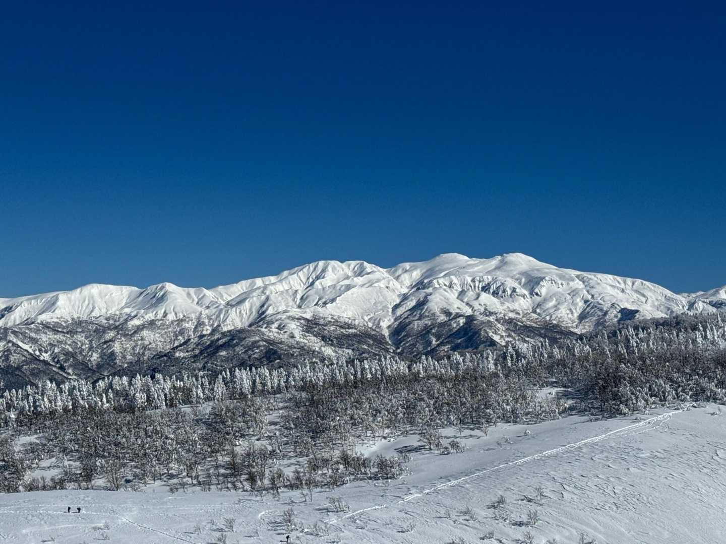 取立山 往復コースの写真