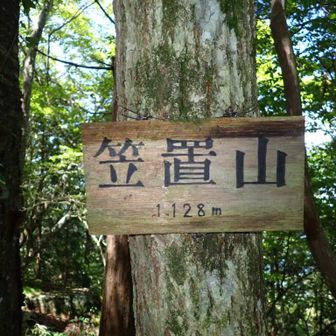 って💦歩いて数分…いきなりの山頂に言葉が出ずꉂ🤣𐤔