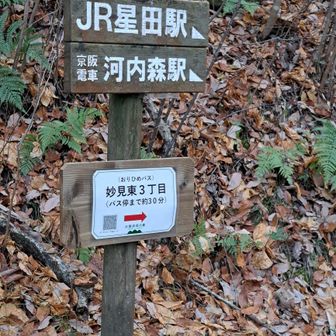 星のブランコ後、此処から星田駅に向かう