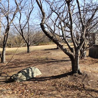 無事に小赤壁公園に戻って来ました😀