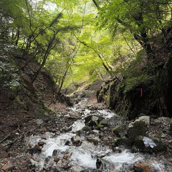 雨続きで水量心配したけど大丈夫でした