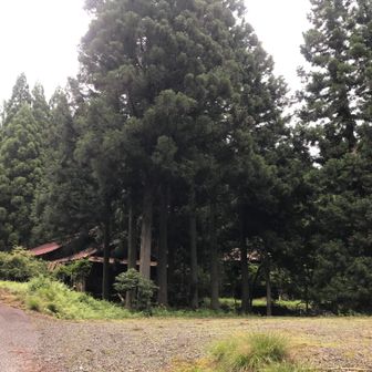 五僧峠
家がまだ残っている
