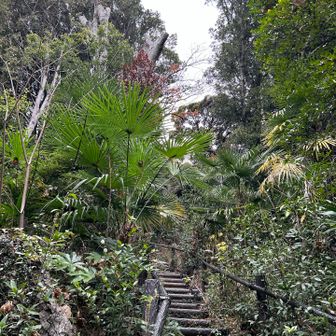 南国風🏝️？な階段を登り…