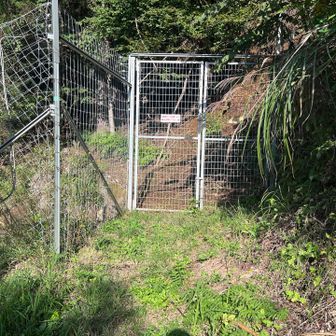さぁここから九鬼山まで縦走です😫