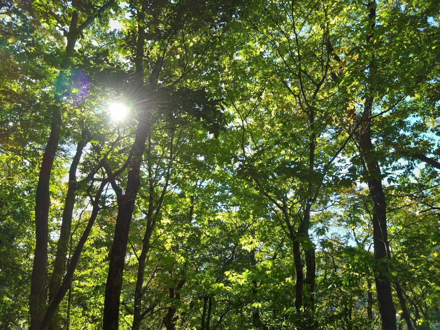 まるで新緑みたいですね~🌳
でもこんな景色好き♡

目標の100座まであと6座となりました!
行きたい山がたくさんあるので頑張ろう✊✨