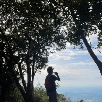 Metronom（こーゆー）