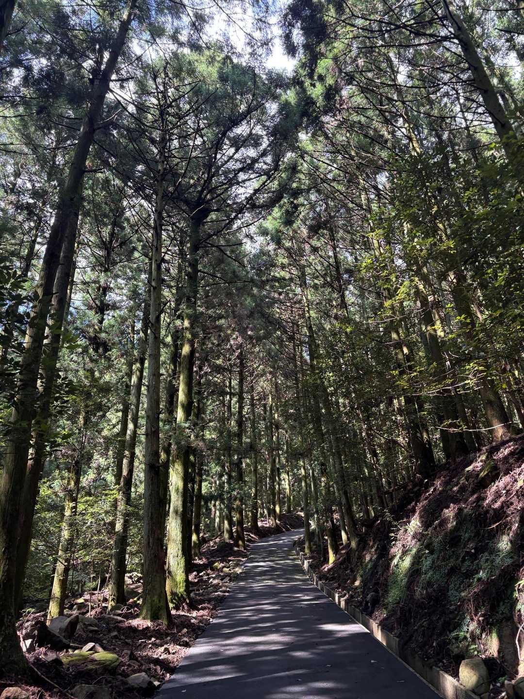 ずっと舗装路なんだ🙁


