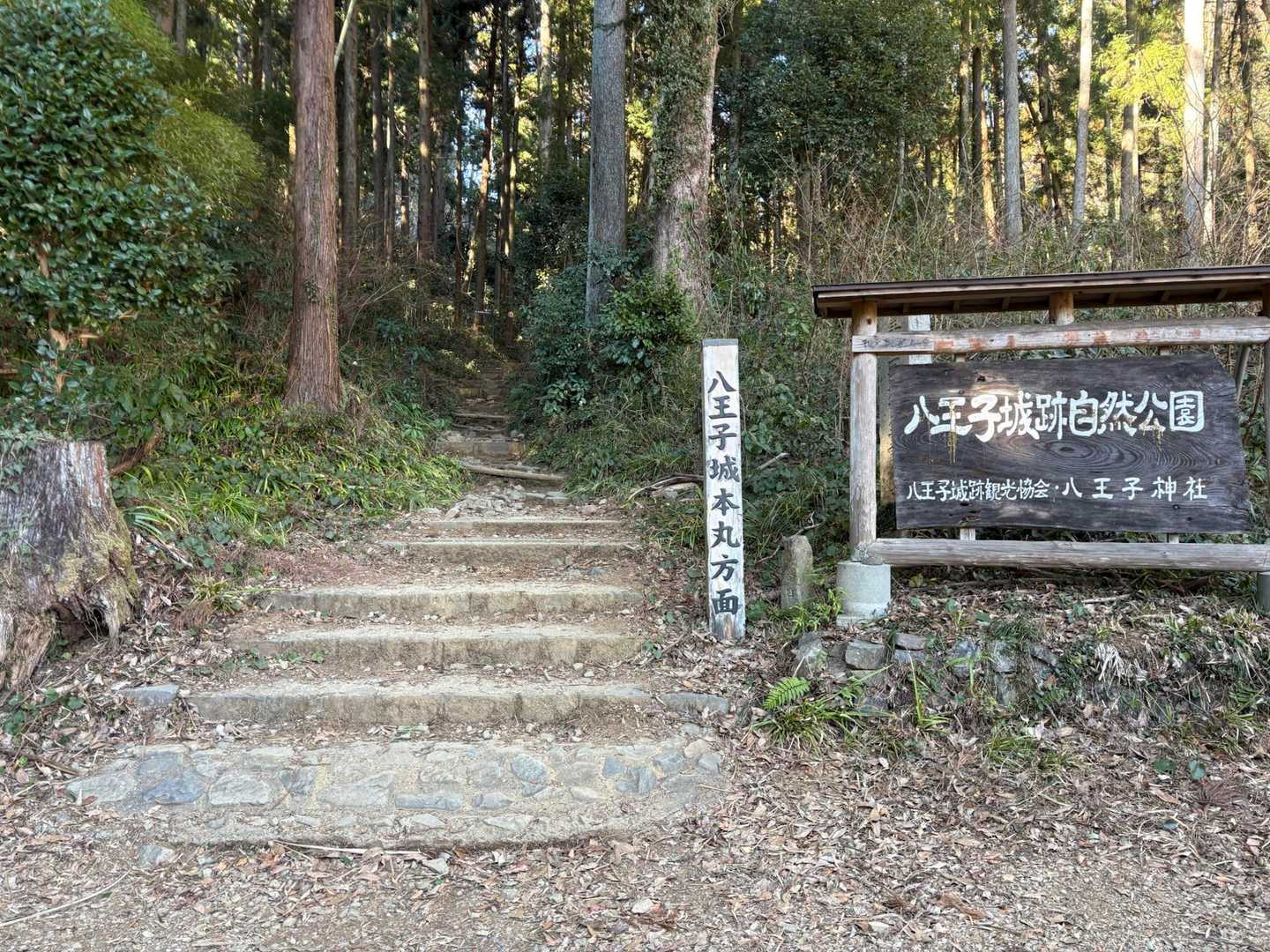 では行きますよー👊