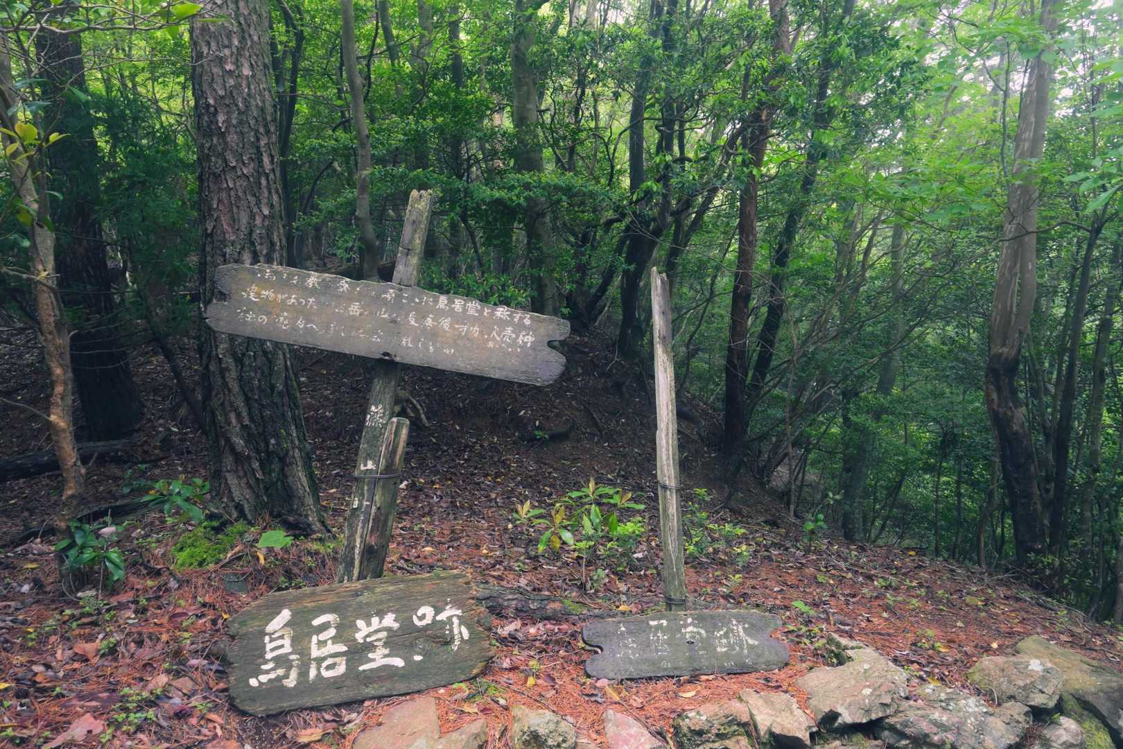 丹波の山は歴史感じますね