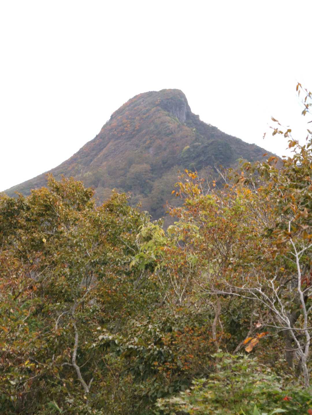 冠山峠-冠山 往復コースの写真