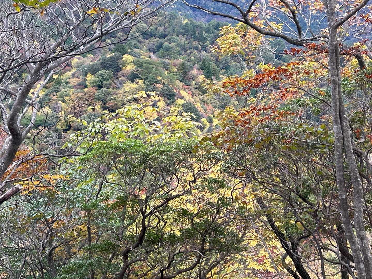 写真じゃ分からない、すごく素敵でした