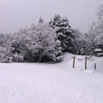 今年、一番乗りでした。