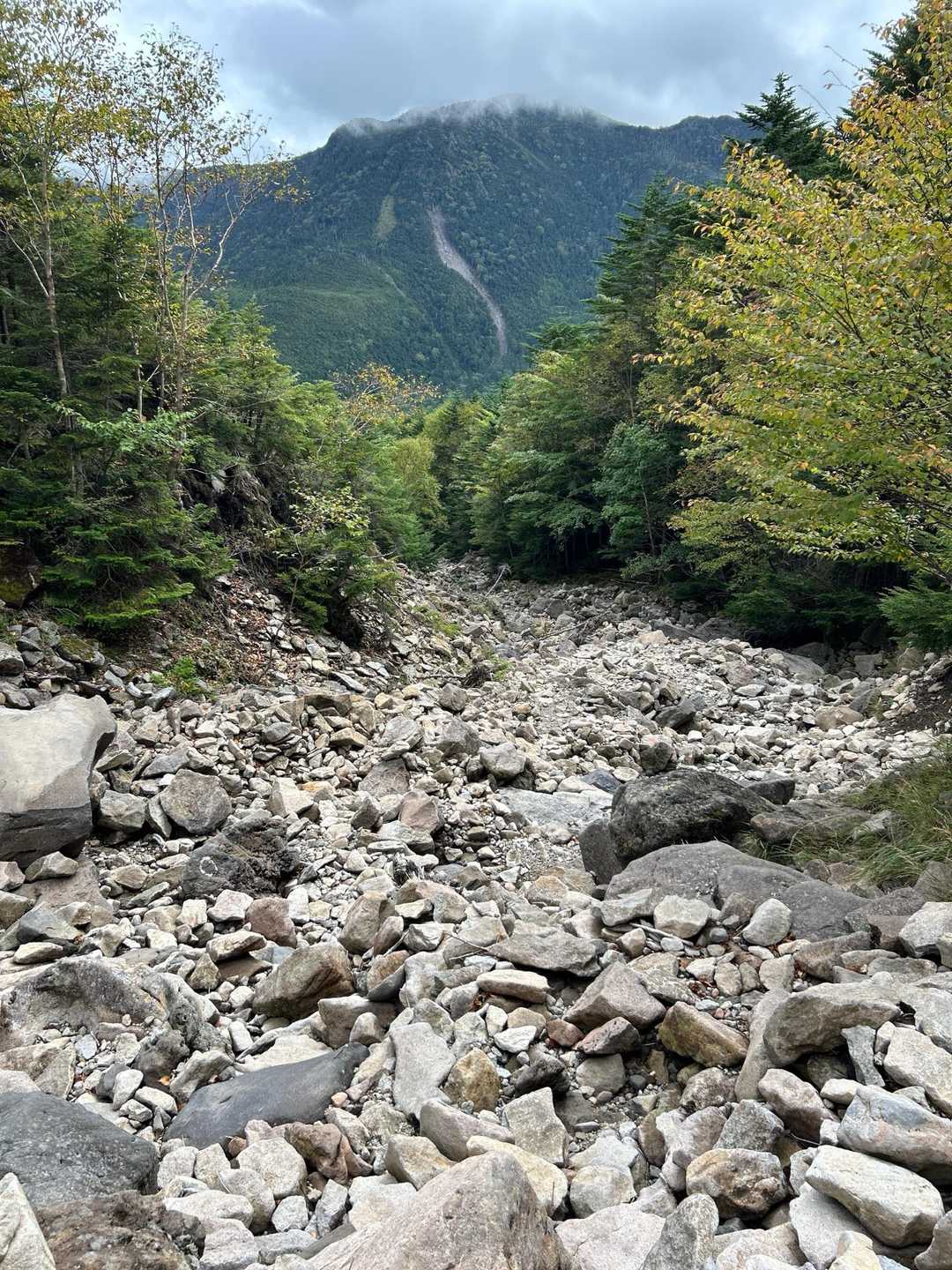 ルート外れに気づかずしばらく沢下りしてました💦 めっちゃ疲れました。悲しみ😅
このルートおかしいなとは思ったんですが。。