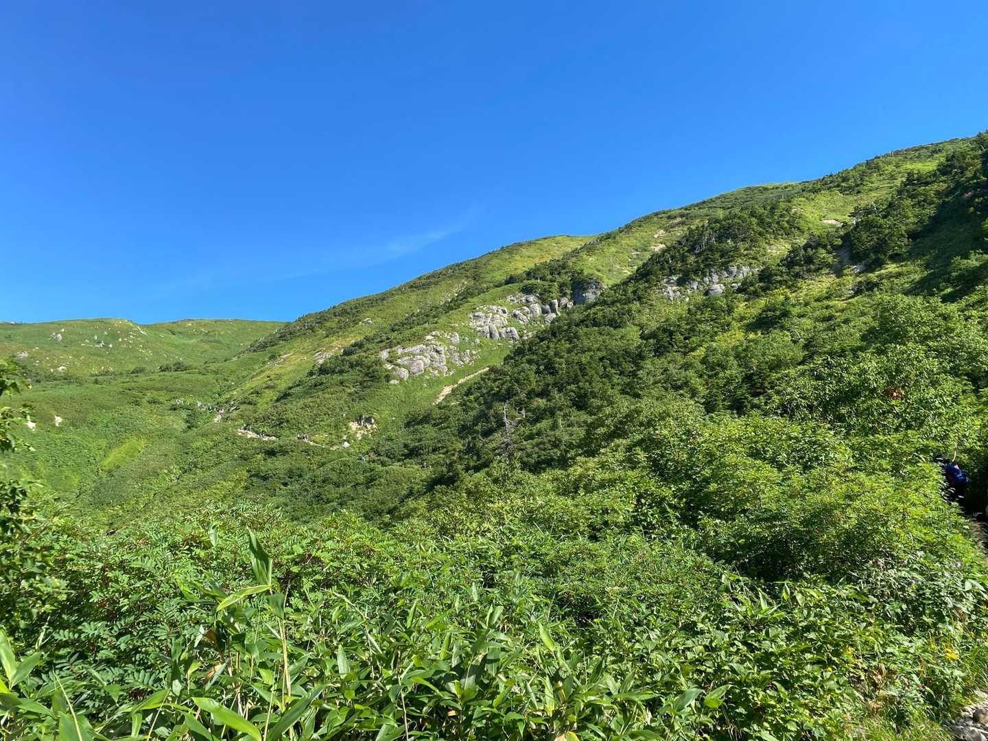 砂防新道コース | 夏には高山植物が咲き乱れる、信仰の歴史を宿す美しき霊山への写真