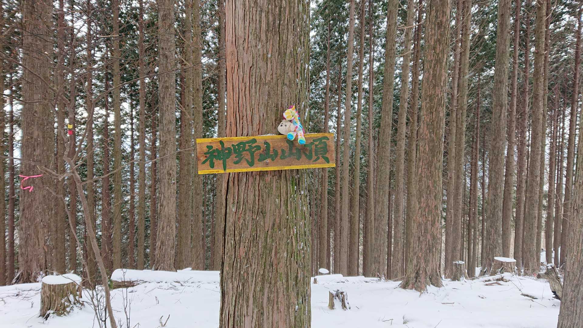 ２つ目のピーク神野山get😆✌️
とにかく寒い😣指が死んでて写真もピーク写真が精一杯😭