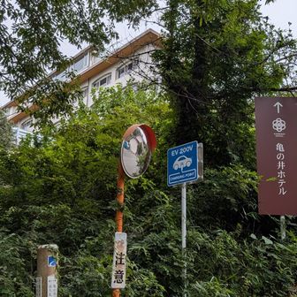 亀の井ホテルの前が登山口、ここから舗装路、駅へ向かう。