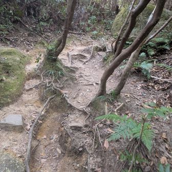 全て舗装路だと思ってたけど🤣