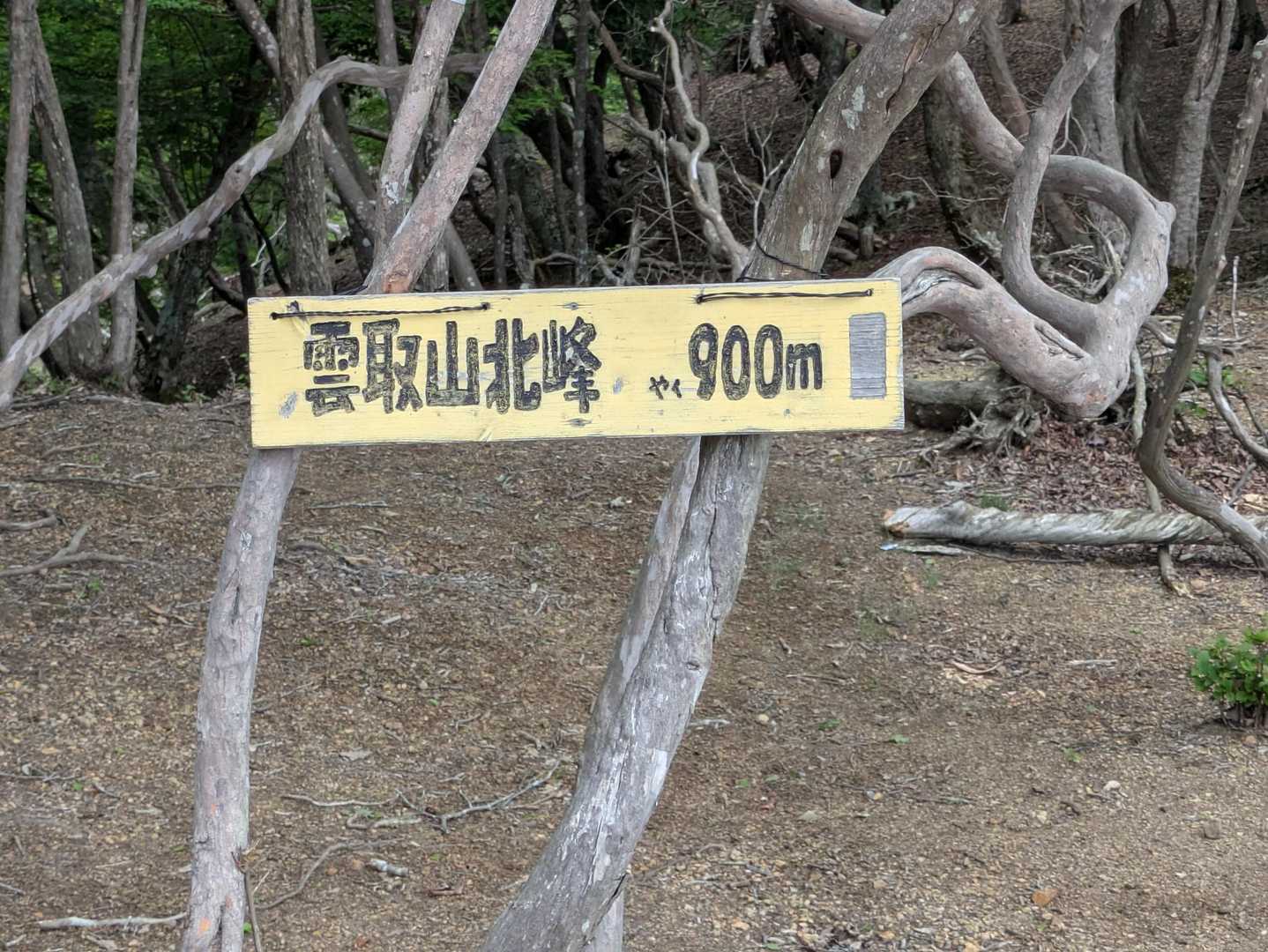 北峰の方が眺望がいい✨✨