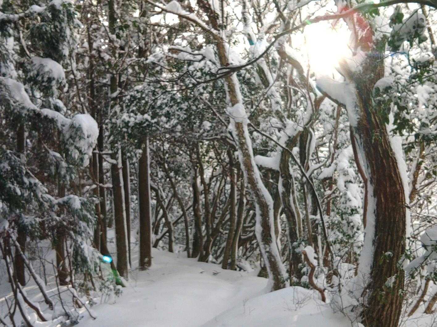 この辺までは歩きやすかった。