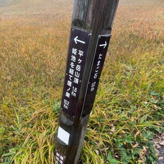 分岐