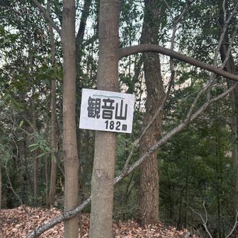 観音山はルート上にある
ここで引き返して、お城に戻る
真っ直ぐも行ける！