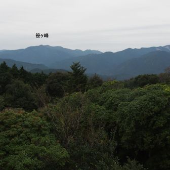 あせびの森の展望台から北側の山並⛰️
曇り空ですが、よく見えています