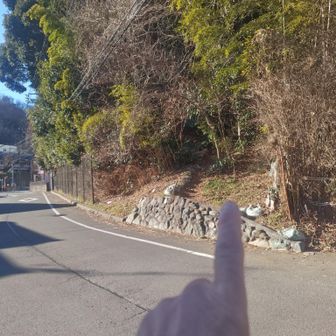 金比羅山へのアプローチは、住宅街のなかの道路脇の石垣でした。よく見るとピンクテープがあるのでそれとわかる。