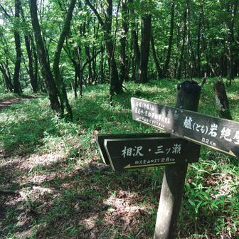 群馬県側の分岐