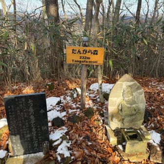 旧七薬師のたんがら森
記憶してたよりずっと急坂でした