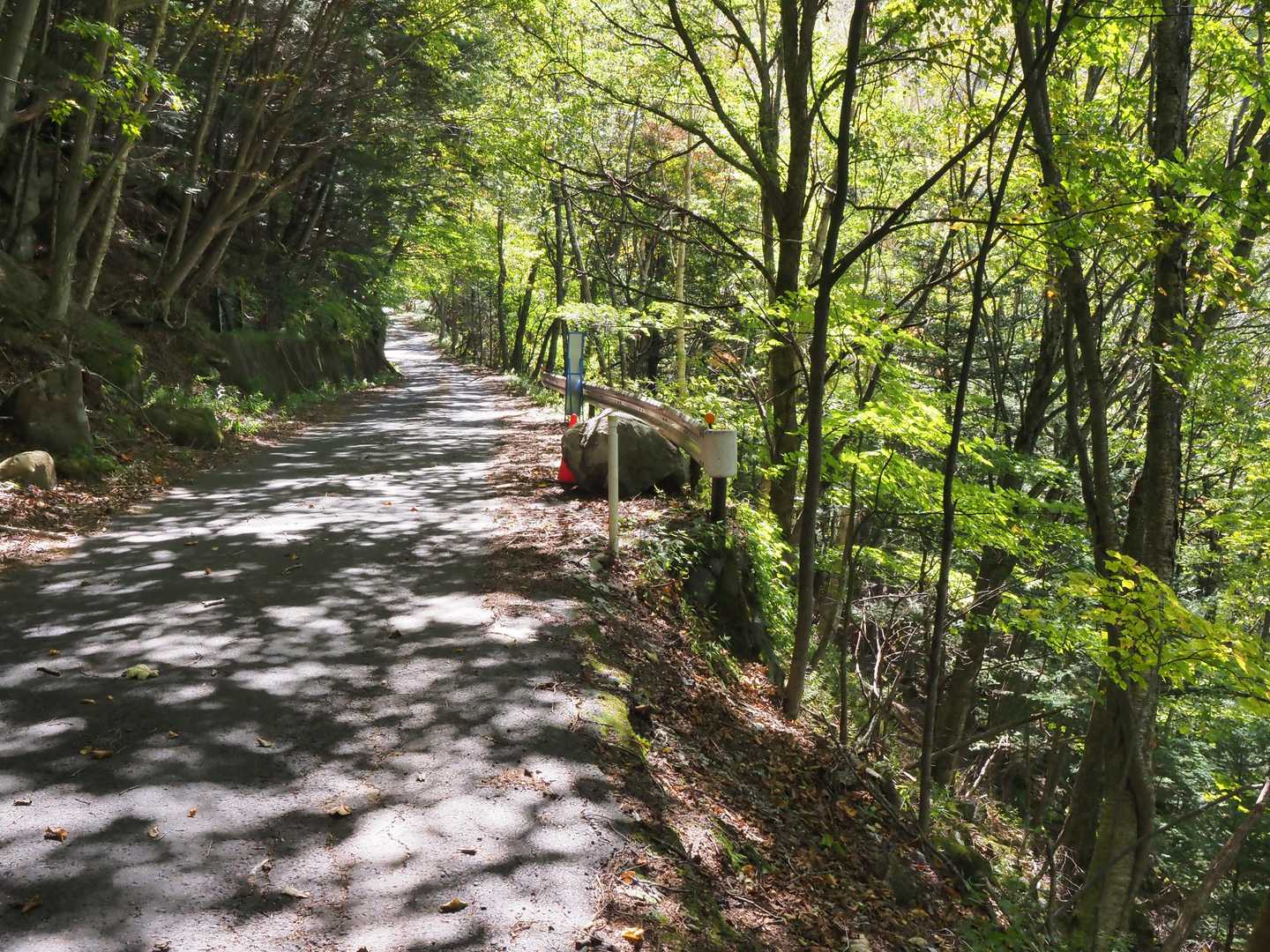 花畑から下ってくる登山道はザレ場や大きな段差のある岩場が多く危険なルートでした。でも転ぶ事なく無事に下山出来た＼(^^)／ なんて喜んでいたら右手に見える岩が食事中の熊に見えた🐻 めちゃくちゃ焦った💦
