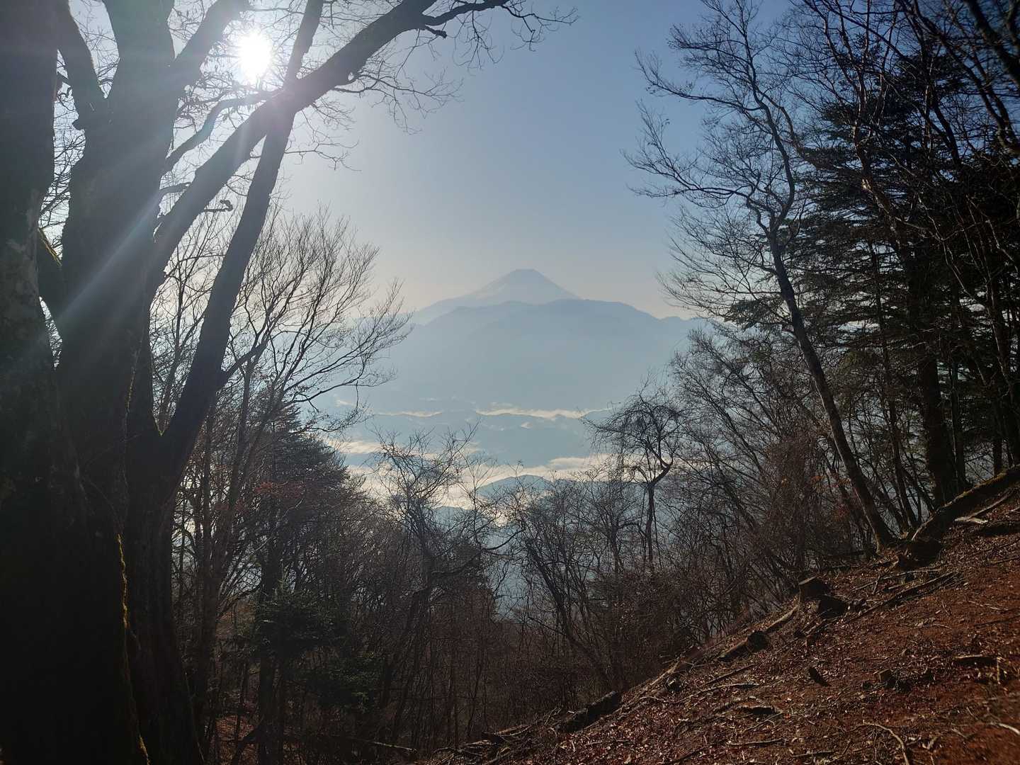 どーんと富士山