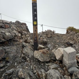 あんなけ晴れていたのに途中からガス上がってきて、天気予報とは全然違う。。
真っ白で結構寒い白馬岳山頂😨