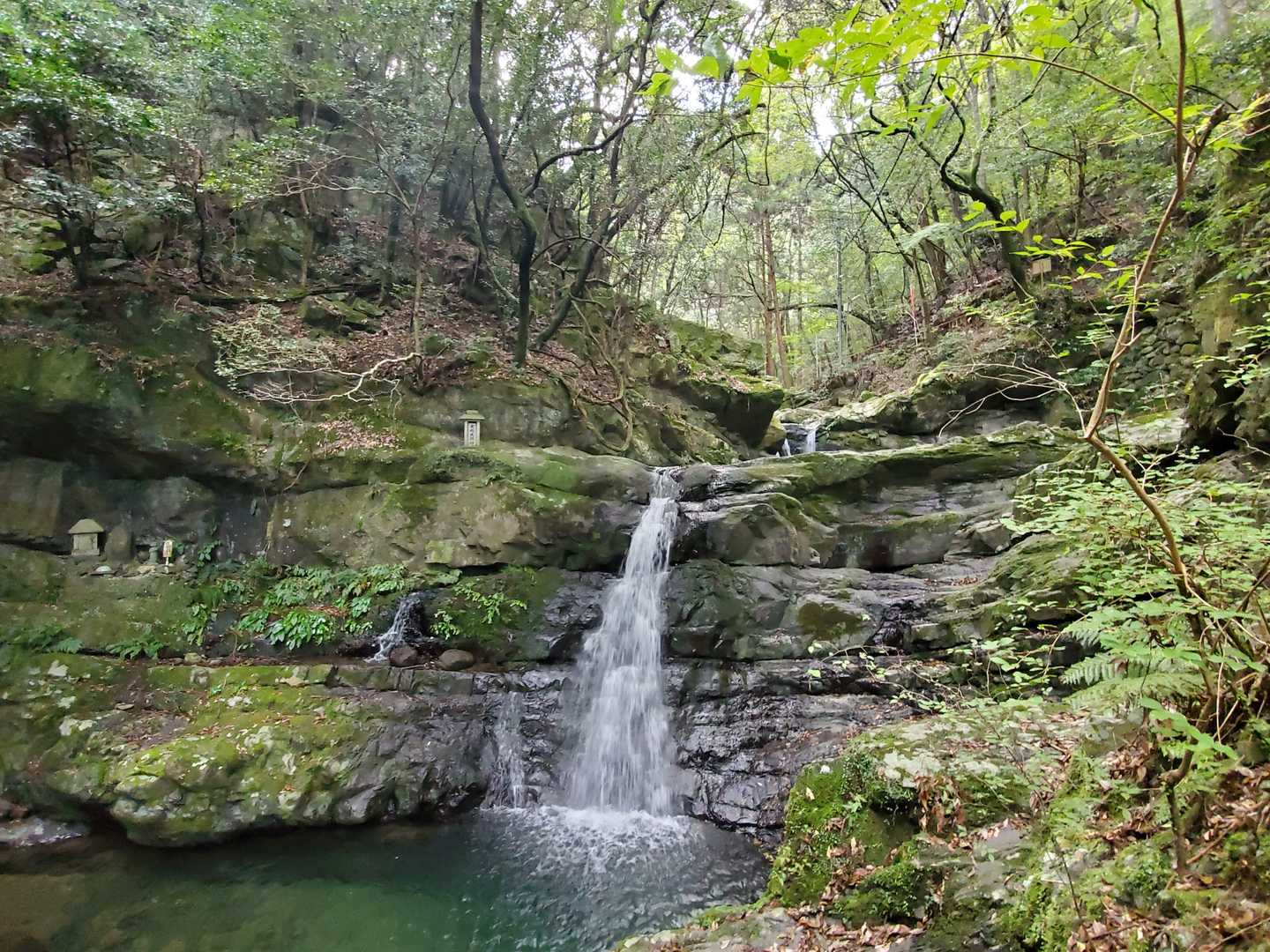 犬鳴山バス停-七宝龍寺本堂-葛城山 往復コースの写真