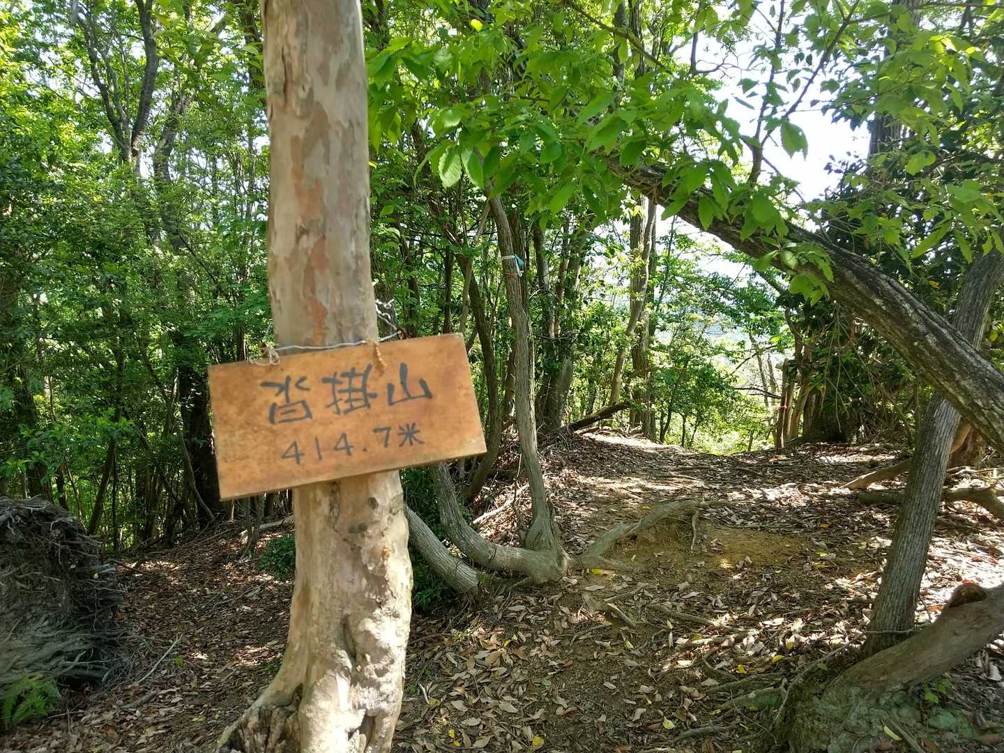 沓掛山とうちゃく