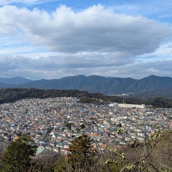山に行く予定はなかったけれど、うずうずが止まらず、大晦日のお手伝いに寄ったお母さんに「1時間ほど山に行ってきます！」と声をかけて駆け出した🐾
